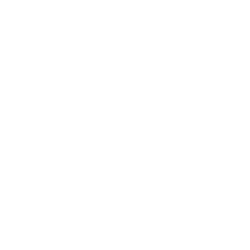 Saks Fifth Avenue: iconic American luxury department store chain offering high-end fashion and designer labels